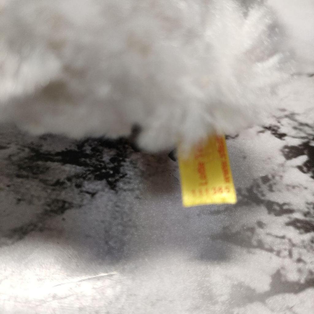 [USED] Steiff Lotte Teddy Bear, 18cm