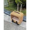 Portable Cat Carriers Stylish Pet Rolling Suitcase Large Capacity Woven Pet Travel Breathable Trolley Box for Cats & Small Dogs