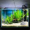Мини-фильтр для аквариума Фильтр для аквариумной рыбки Фильтрация Аэратор Насос Для разведения креветок Морская пресная вода Черепаха Террариум