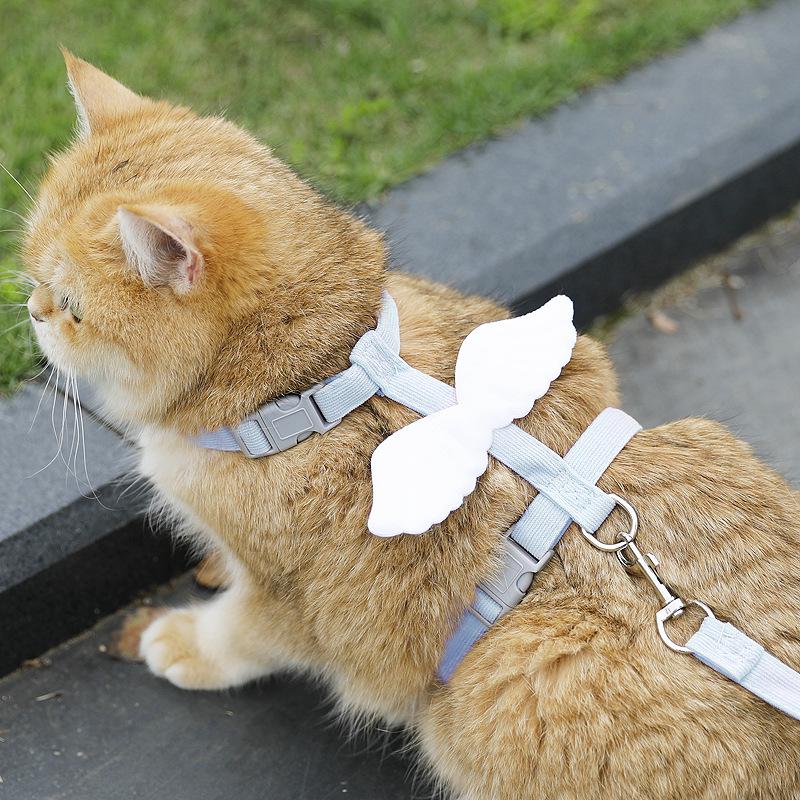 Маленькая пчелка поводок и шлейка для кошек против побега - Регулируемая веревка для прогулок на улице
