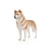 ПВХ Модель Собаки Хаски Коллекционная Фигурка Для Декора Дома И Подарка