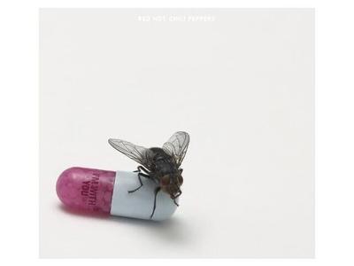 [CD] I'm With You Бумажный конверт Япония OBI Red Hot Chili Peppers WPCR-14182 НОВЫЙ
