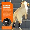 Dog Canine Rear Leg Hock Joint Brace Compression Wrap Dog Leg Sleeve for ACL CCL Injury Sprain Protection Arthritis Relief