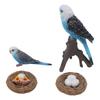 4 Pcs Budgerigar Growth Cycle Toy PVC Budgie Figurine Educational Animal Life Cycle Toy for