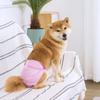 Washable Dog Physiological Pants Safety Dog Sanitary Diaper Pet Menstruation Shorts  Medium Dogs