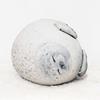 Подушка Angry Blob Seal Pubby 3D, новинка, кукла «Морской лев», плюшевая игрушка, детская подушка для сна, подарки для детей, девочек