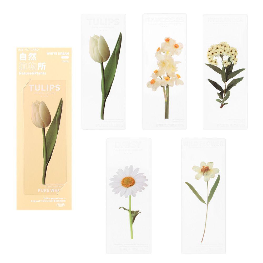 Book Note Marker PET Bookmarks Card Specimen Bookmarks Nature Plants Bookmarks Translucent Flower