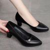 Туфли для мам, одинарные туфли, мягкая подошва, женские, весна и осень, удобные, с круглым носком, 2025, летняя женская обувь, средний каблук, для женщин среднего и пожилого возраста, c