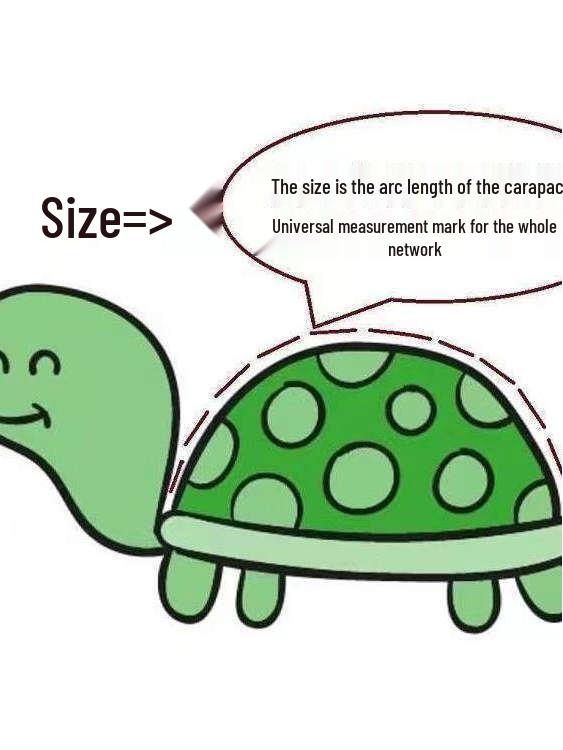 Живые молодые черные ракушечные китайские травяные черепахи - Пруд на открытом воздухе, холодноводный питомец