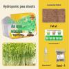 Children's Planting Kit: Hydroponic Vegetable & Radish Seedlings, Green Plants for Kindergartens, Seed Growth Observation for Primary Students