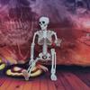 Movable Joint Halloween Skeleton Decoration: Plastic Skull Pendant & Props