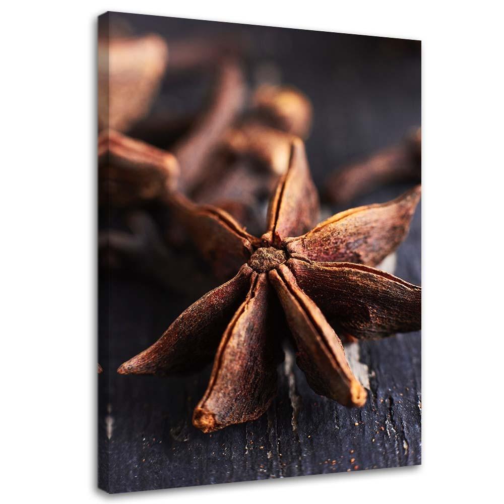 Canvas Print Aniseed Spice Nature