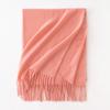 Cashmere Feel Scarf Autumn and Winter Korean Imitation Cashmere Girls High End Shawl Warm Scarf
