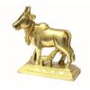 Brass Kamdhenu Cow and Calf Sculpture, Standard, Golden, 1 Piece
