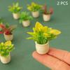 2 шт. кукольный домик домашний сад декор игрушки аксессуары 1:12 миниатюрных кукольных растений в горшках с зелеными листьями, модель цветочного горшка бонсай