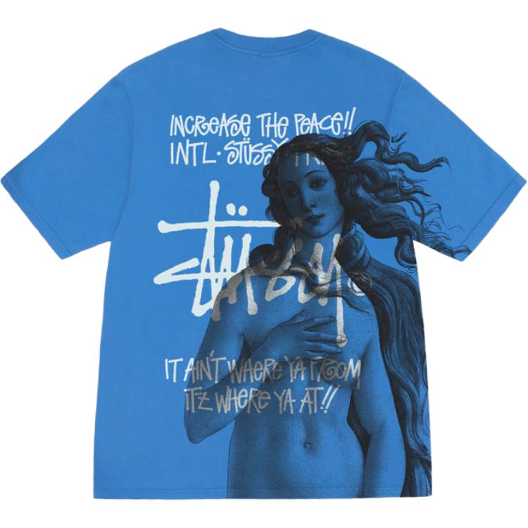 Stussy Ist Venus Pigment Dyed T Shirt 1904977-NATU