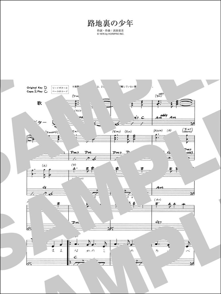 Сёго Хамада Коллекция гитарных и вокальных записей расширенное издание / (постоянная версия)