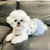 Blue Color Teddy Dog Skirt Cute Style Princess Dress New Summer Dog Dress  for Small Dogs