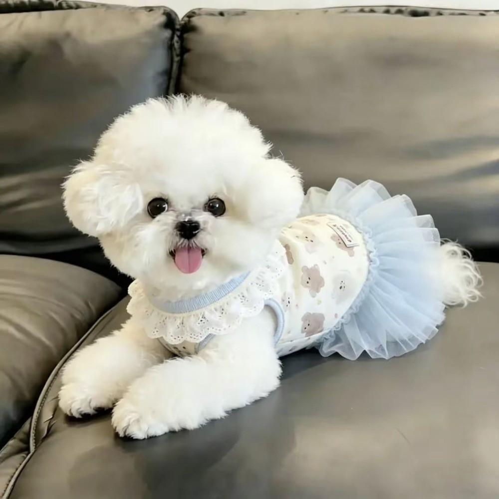 Blue Color Teddy Dog Skirt Cute Style Princess Dress New Summer Dog Dress for Small Dogs