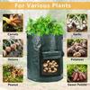 Мешки для выращивания картофеля, полиэтиленовая сеялка для выращивания овощей, сумка для выращивания DIY, тканевый горшок для выращивания на открытом воздухе, садовые горшки, садовый инструмент