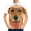 Summer Round Neck Animal Pattern 3D Printed Top Fashionable Casual Short Sleeved Children's Boy T-shirts
