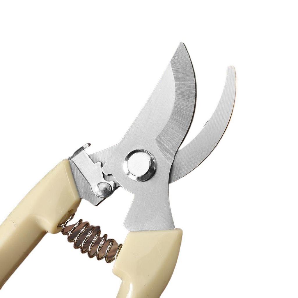 Handcrafted Floral Pruning Shears for Trees and Flowers