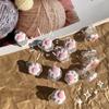 Mini Hair Clips Non-Slip Resin Cute Cats Paw Hair Claws Lovely Small Hair Clamps Ponytail Decoration Trendy Hair Prop