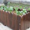 Chenchuang Large Anti-corrosion Wooden Planter Box
