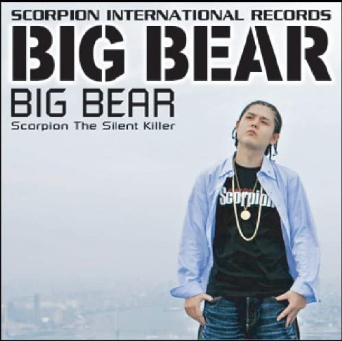CD BIG BEAR BIG BEAR SIR001 2021 Япония Японский PopRock Б/у