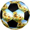 Maya the Bee Theme Size 5 Soccer Ball, Suitable for Both Indoor and Outdoor Matches, a Gift Suitable for Everyone.