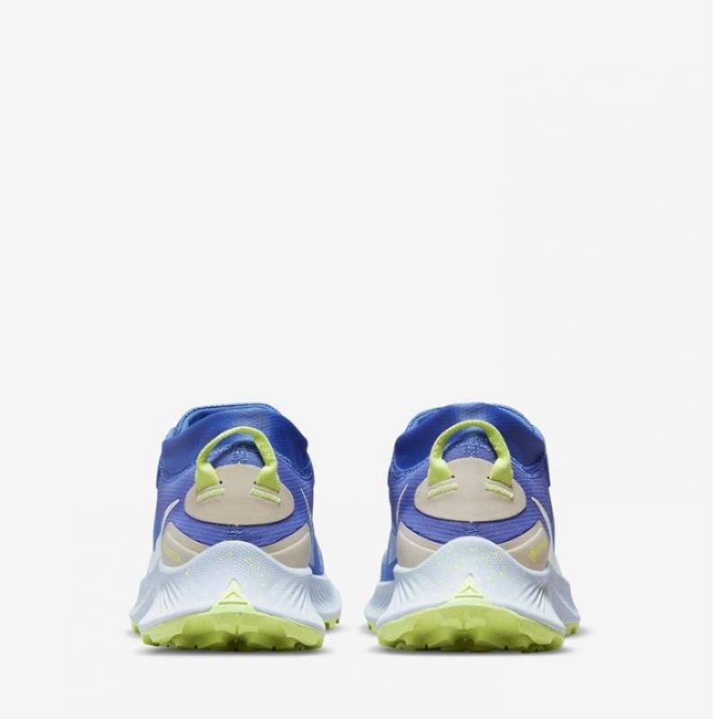 Nike Кроссовки для бега Треккинговые кроссовки женские S pegaSuS Trail 3 Gore Tex Dc8794 400 P2207 Водонепроницаемые Водонепроницаемые