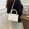 2024 Весна Новая модная женская сумка Сумка с текстурой Маленькая квадратная сумка Простая сумка через плечо для поездок на работу