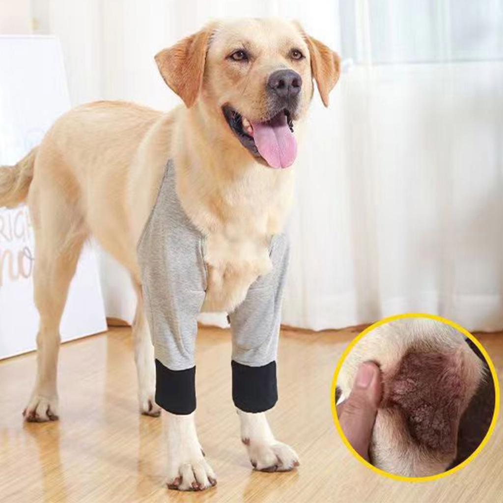 Dog Elbow Brace Supports for Injured Limbs Promotes Comfort Helps Arthritis Against Licking Assists Brace Sleeve