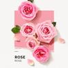 Eau de Parfum - Solinotes - ROSE - 50ml - Floral - Notes fruitées - Édition Limitée