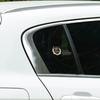 Металлические Наклейки на Кузов Автомобиля Колосья Стиль Эмблема Авто Аксессуары для Декора Для Citroen C4 C3 C5 C1 C2 Berlingo Celysee Cactus