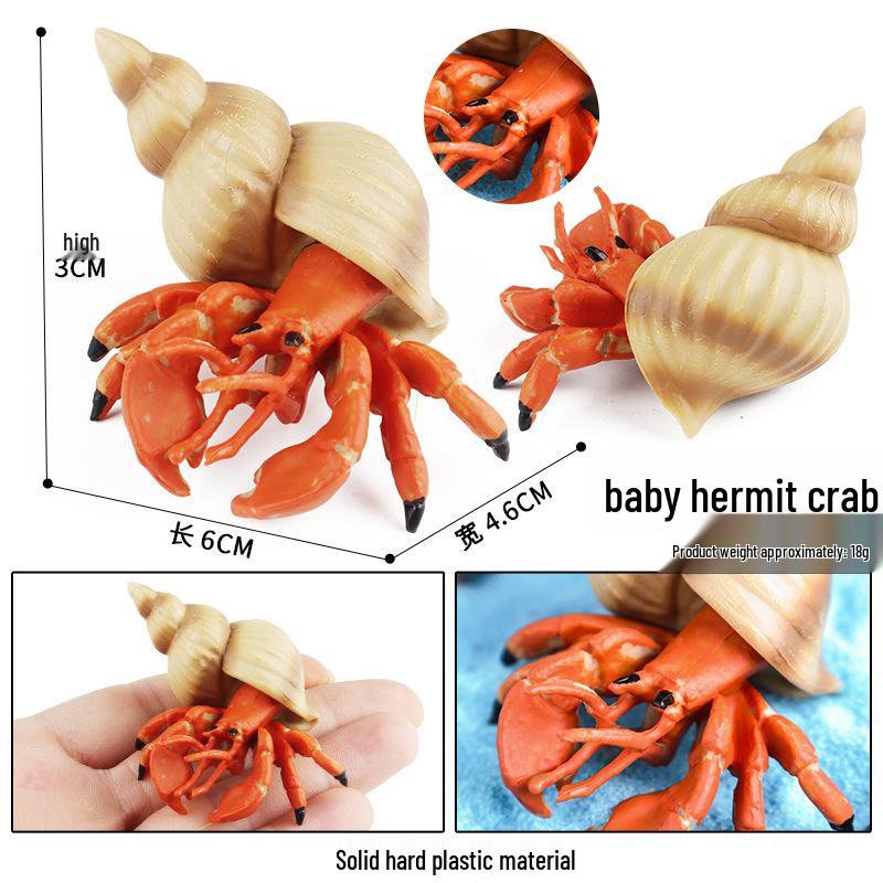 Children's Cognitive Marine Animal Models: Sea Turtle and Tortoise Toys