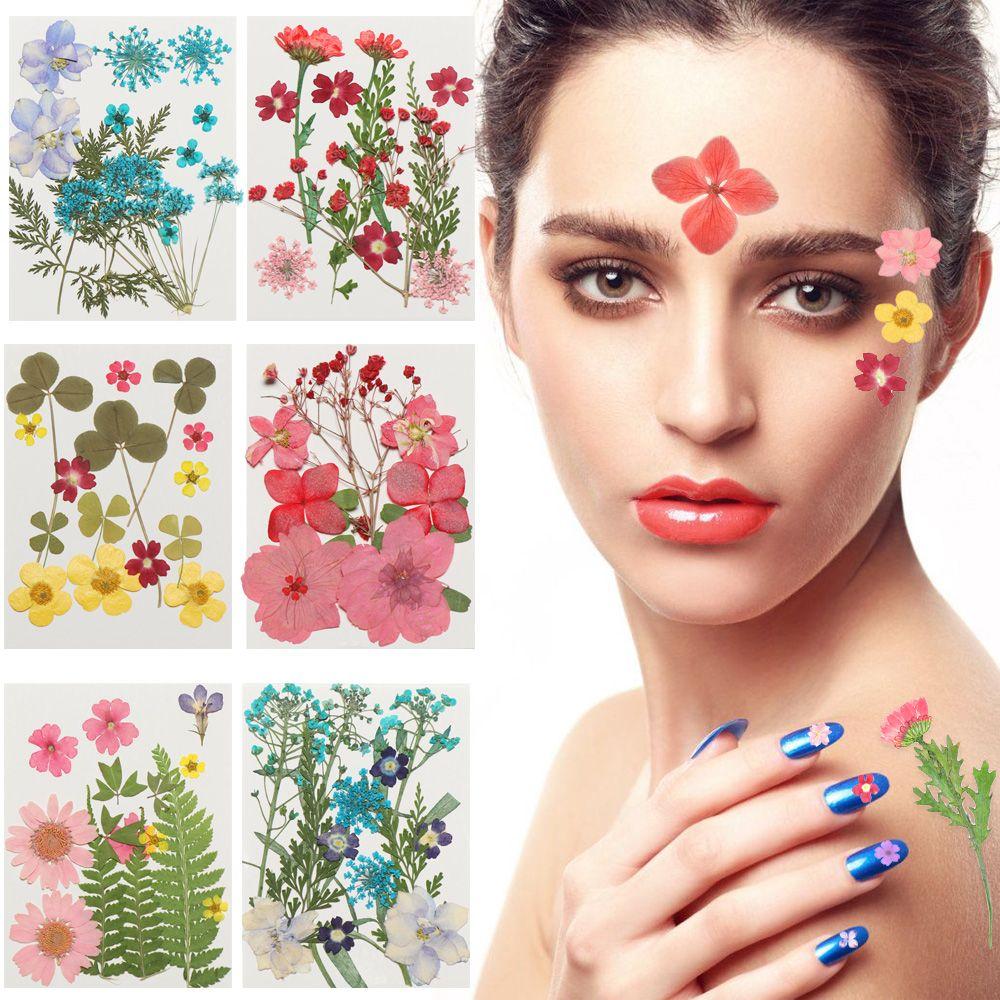 Filling Materials Jewelry Making Resin Filler Beauty Decal Resin Mold Filling Flower Dried Flowers