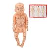Acupuncture Model Children Massage Model Pediatric Training Doll Acupoint Children Model
