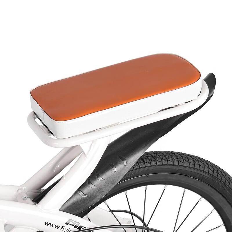 Feige Kangaroo F197003 20-inch Single Speed Commuter Bike