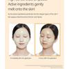 VT - Vita-light Reedle Shot 100 2Step Hydrogel Mask