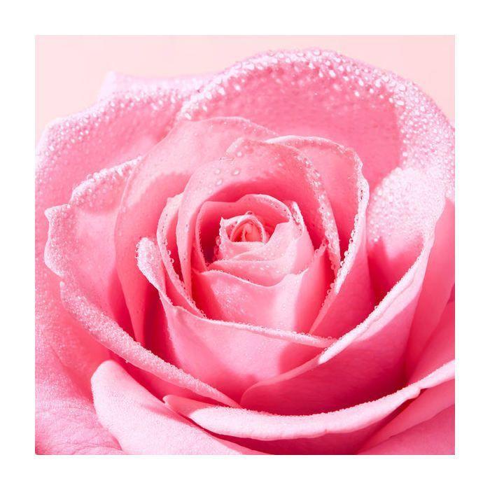 Мицеллярная вода - NUXE - Very Rose - 200 мл - Гипоаллергенно - Для чувствительной кожи