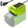 Мини-зарядное устройство AEE2 для аккумуляторов Greenworks 40V, аккумулятора MAX 40V 29462, 29472 и других аккумуляторов Greenworks 40V, штекер США