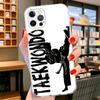 Kungfu Taekwondo Cover Phone Case For iPhone 16 17 Air 15 14 Pro Max 16E Phone Case 13 Mini 12 11 7 SE 8 Print Pattern Fit Cases