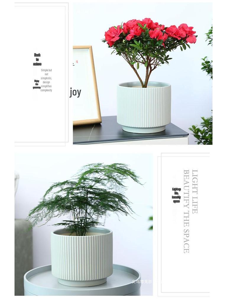 Керамический горшок для орхидей - Белая легкая роскошь, Минималистичный скандинавский дизайн для гостиной