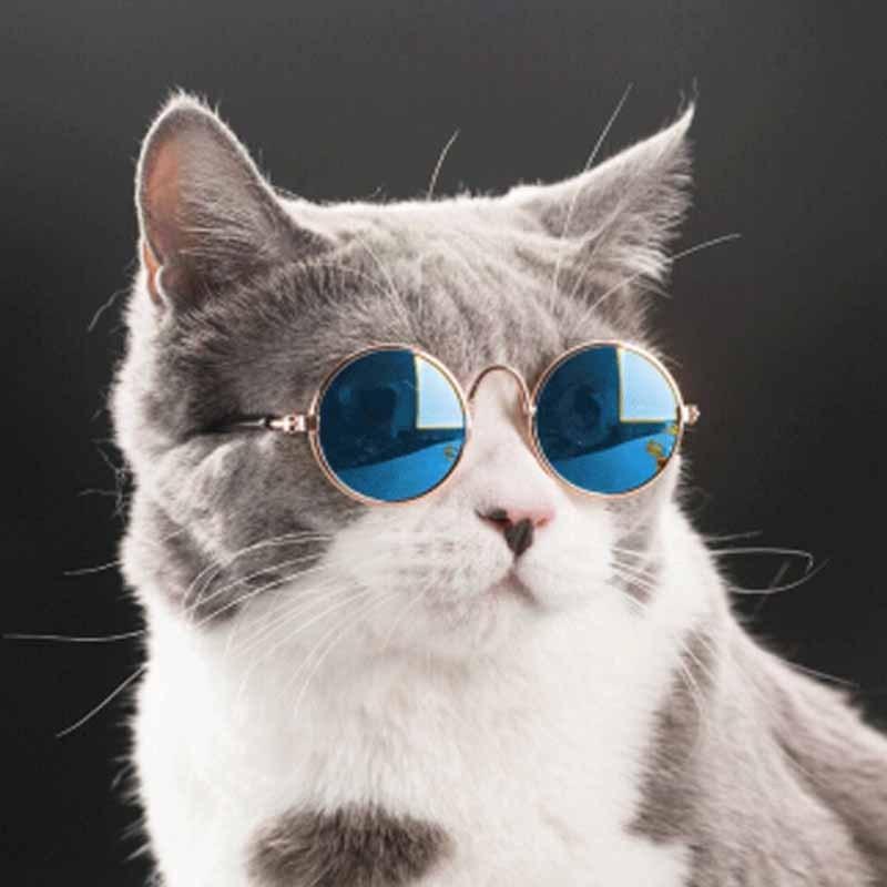 Косплей Костюм для кошек, одежда, рождественские аксессуары для домашних животных, ошейник от блох, Санта-игрушки, товары, домики для собак, котят, собак
