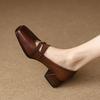 French Retro Mary Jane Shoes Women's Brown Autumn 2025 New Mid-heel Square Head Light Mouth Single Shoes