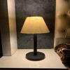 Настольная лампа – современный минималистичный дизайн, сменные цвета абажура, черное основание