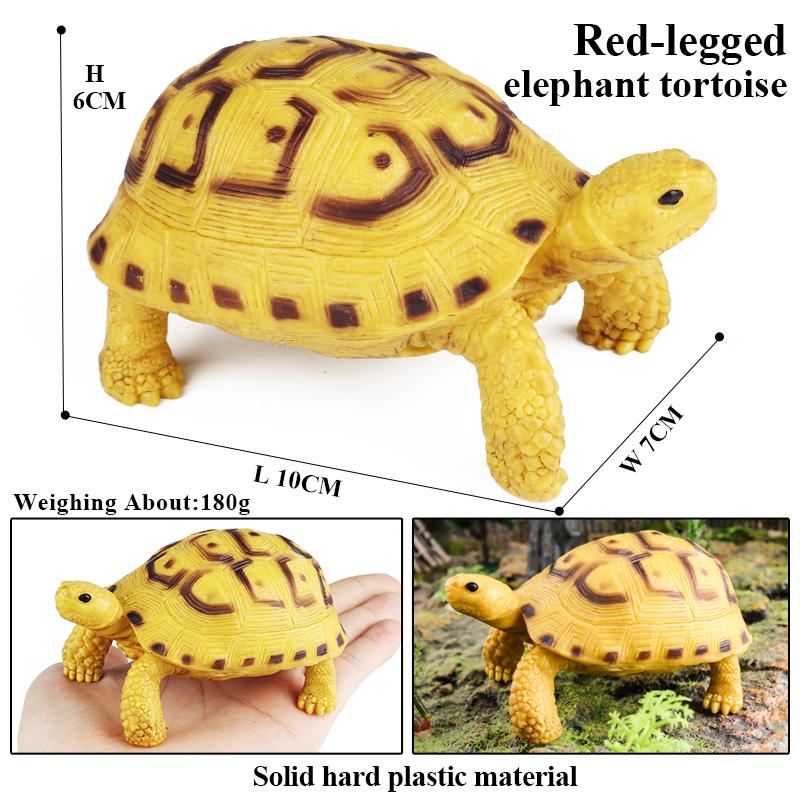 Oenux Модель Морские Животные Кожистая Черепаха Черепаха Цикл Роста Океанские Фигурки Фигурки Действия ПВХ Коллекция Игрушка для Детей Подарок