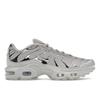 Air Max Plus GS 'Light Iron Ore Chrome' FZ0977-001