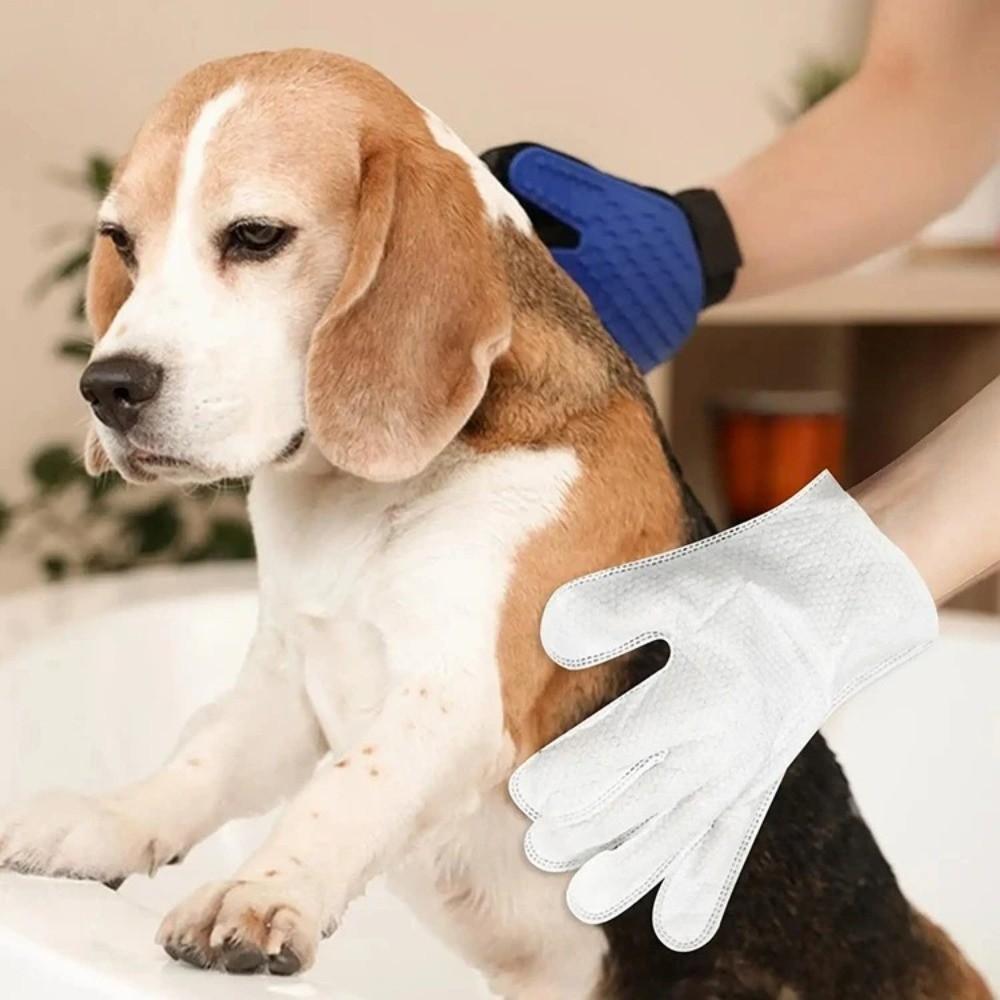 6Pcs Set Deodorizing Pet Wipes Gloves Pet Wipes Disposable Gloves Pet Care Cleaning Wipes